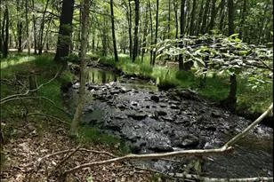 11 Grouse Trail, Albrightsville, PA 18210 - Photo 3