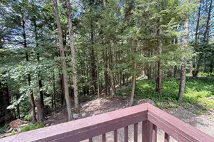 103 Deep Hollow Dr, Greentown, PA 18426 - Photo 55