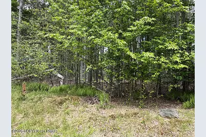  6 Winnebago Drive, Pocono Lake, PA 18347 - Photo 3