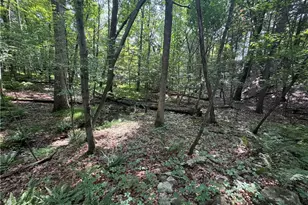 401 Par Dr 401 Dr, Kunkletown, PA 18058 - Photo 1