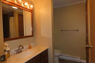 2134 Sheshequin Dr, Pocono Lake, PA 18347 - Photo 17
