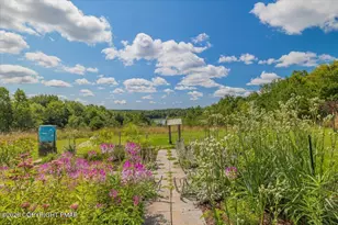 1254 Clover Rd, Long Pond, PA 18334 - Photo 65