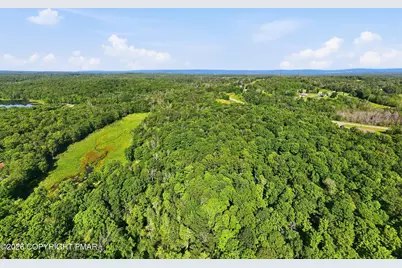  13 Larch Trail, Lake Ariel, PA 18436 - Photo 49