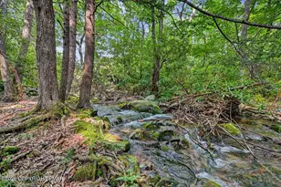730 Timberline Trail, Effort, PA 18330 - Photo 77