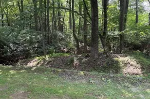 238 Evergreen Ct, Tannersville, PA 18372 - Photo 29