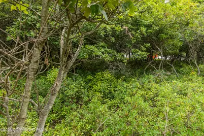  Yellowstone Drive, Blakeslee, PA 18610 - Photo 9