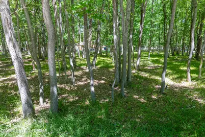  Mountain Road, Albrightsville, PA 18210 - Photo 33