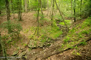 157 Wildwood Dr, Canadensis, PA 18325 - Photo 11