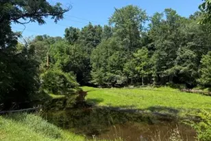 2402 Route 390, Canadensis, PA 18325 - Photo 3