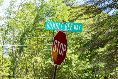  Bumble Bee Way 486 Way, Tobyhanna, PA 18466 - Photo 9
