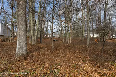  0 Carol Rd 153 Road, East Stroudsburg, PA 18302 - Photo 11