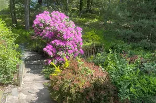 106 Butternut Ln, Canadensis, PA 18325 - Photo 59
