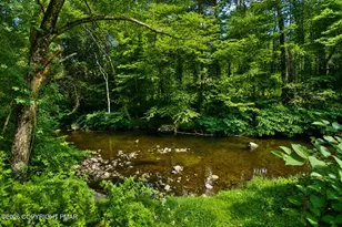 4581 Route 447, Canadensis, PA 18325 - Photo 69