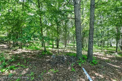  1107 Grouse Court, Bushkill, PA 18324 - Photo 29
