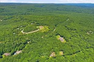 209 Grange Rd, Mount Pocono, PA 18344 - Photo 75