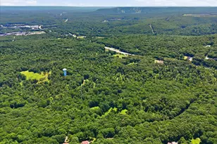 209 Grange Rd, Mount Pocono, PA 18344 - Photo 71