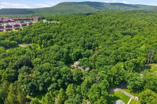 378 Babbling Brook Rd, Scotrun, PA 18355 - Photo 121