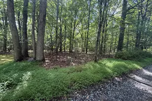 Johns Rd 549 Rd, Effort, PA 18330 - Photo 1