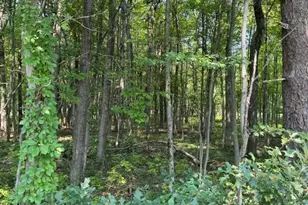 Panther Run Road & Robertson, Jim Thorpe, PA 18229 - Photo 1