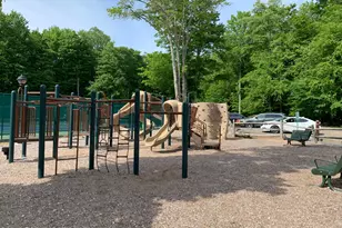 19 Conservancy Ct, Gouldsboro, PA 18424 - Photo 65