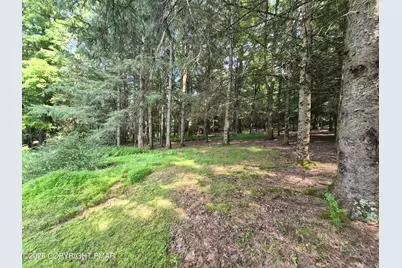  354 Sand Spring Road, Cresco, PA 18326 - Photo 21