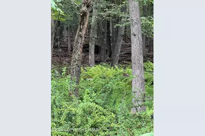 E Of Shawn E Of Shawnee Dr/Ace Mountain, East Stroudsburg, PA 18302 - Photo 7