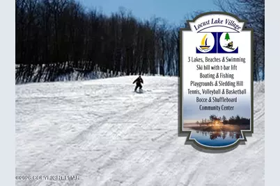  1694 Stag Run, Pocono Lake, PA 18347 - Photo 61