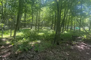 2111 Spring Dr, Bushkill, PA 18324 - Photo 27