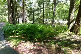 1231 Kilmer Rd, Tobyhanna, PA 18466 - Photo 15