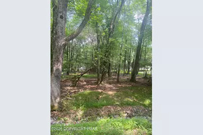  391 / Scenic Drive, Albrightsville, PA 18210 - Photo 3