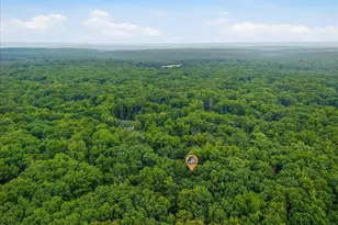 2569 Birch Hollow Dr, Effort, PA 18330 - Photo 11