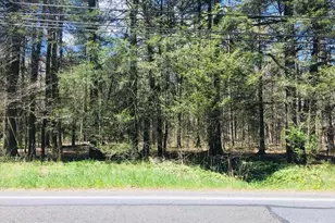Lot 31 Rt 423, Pocono Pines, PA 18350 - Photo 7