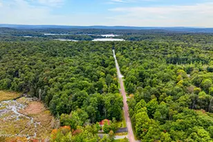 533 Maxatawny Dr, Pocono Lake, PA 18347 - Photo 47