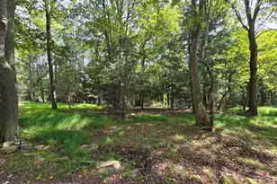 156 Pineknoll Dr, Lake Harmony, PA 18624 - Photo 33