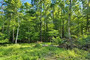 Cottontail Ln Lot, East Stroudsburg, PA 18302 - Photo 1