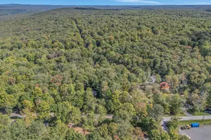 128 Moshannon Ct, Pocono Lake, PA 18347 - Photo 49