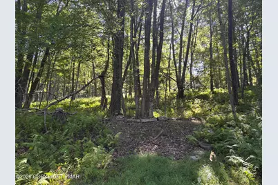  Ski Trail 32, Pocono Lake, PA 18347 - Photo 1
