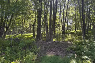 Ski Trail 32, Pocono Lake, PA 18347 - Photo 1