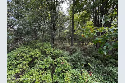 1112 Lr 45040 5117, Long Pond, PA 18334 - Photo 3