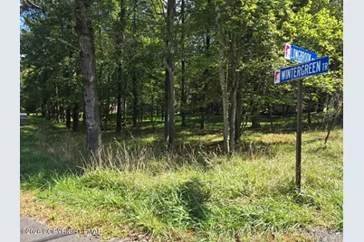  Wintergreen Trail & Longbrook, Albrightsville, PA 18210 - Photo 1