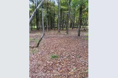  910/911 Willow Grove Rd Road, Pocono Summit, PA 18346 - Photo 3