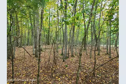  Lot 46 White Dove Road, East Stroudsburg, PA 18302 - Photo 3