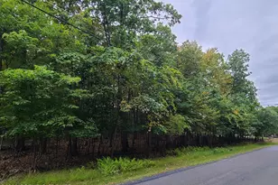 Lot 46 White Dove Rd, East Stroudsburg, PA 18302 - Photo 1