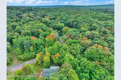  275 Hillary Drive, Freeland, PA 18224 - Photo 45
