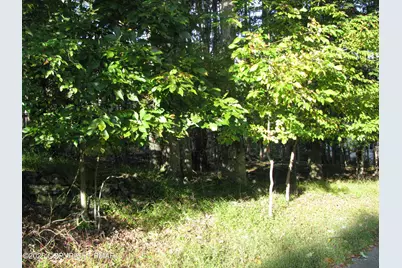  505 Magic Mountain Road, Henryville, PA 18332 - Photo 3