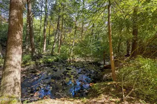 372 Brookside Dr, Pocono Pines, PA 18350 - Photo 53
