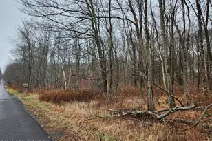 Oak View Ln, Tobyhanna, PA 18466 - Photo 1