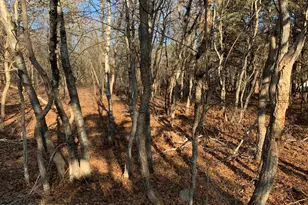 Chippewa Trail, Albrightsville, PA 18210 - Photo 1