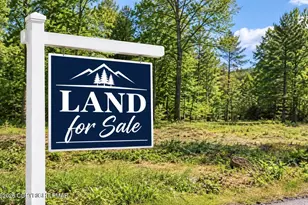 George Dr 10 Dr, Blakeslee, PA 18610 - Photo 1
