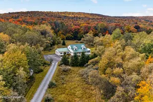 163B Hilltop Rd, Newfoundland, PA 18445 - Photo 3